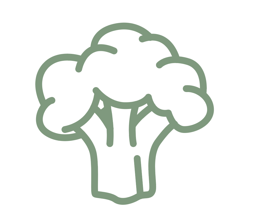Retiro cocina vegetal