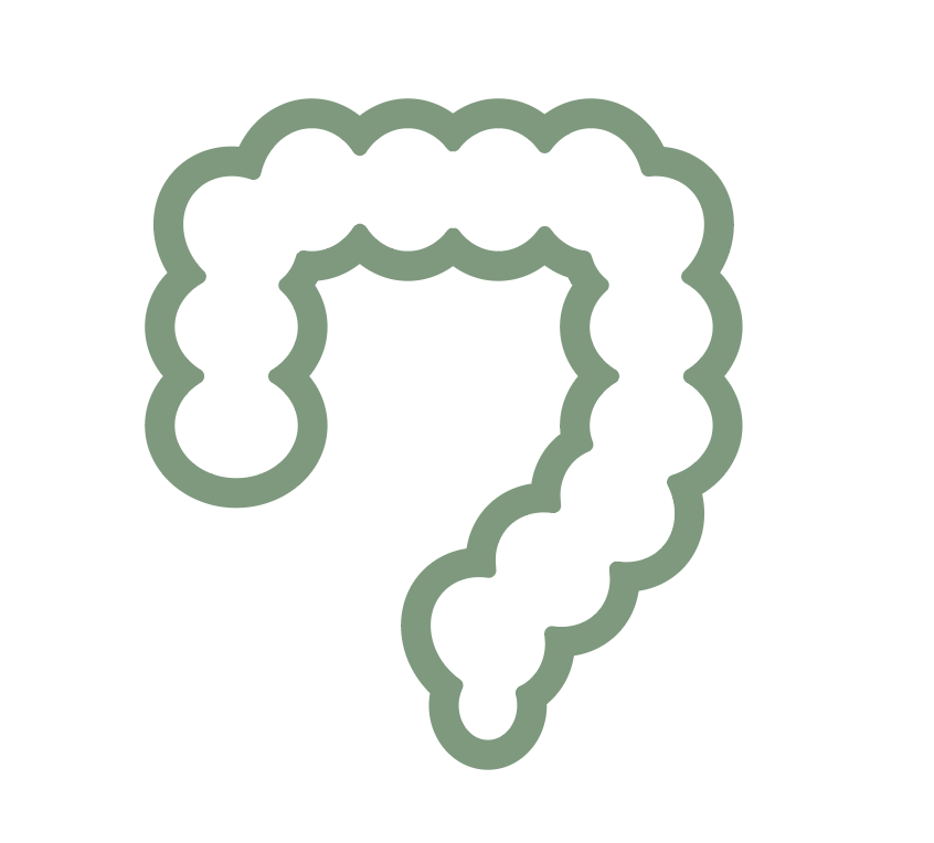 Retiro intestinal